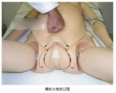 妇产科男医师为你演示模型分娩过程（图）