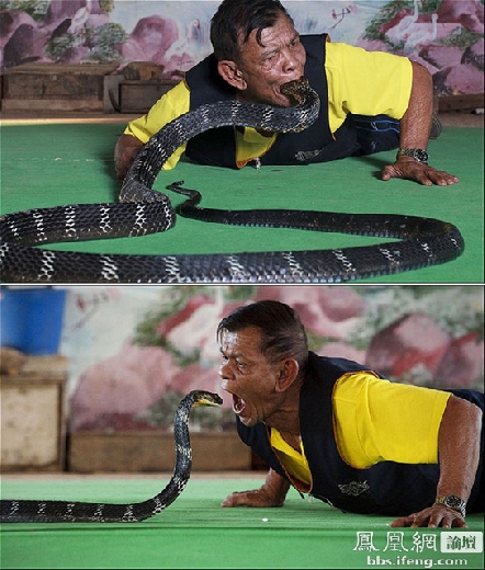 牛人在这里 奇闻极端达人秀（组图）